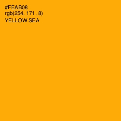 #FEAB08 - Yellow Sea Color Image